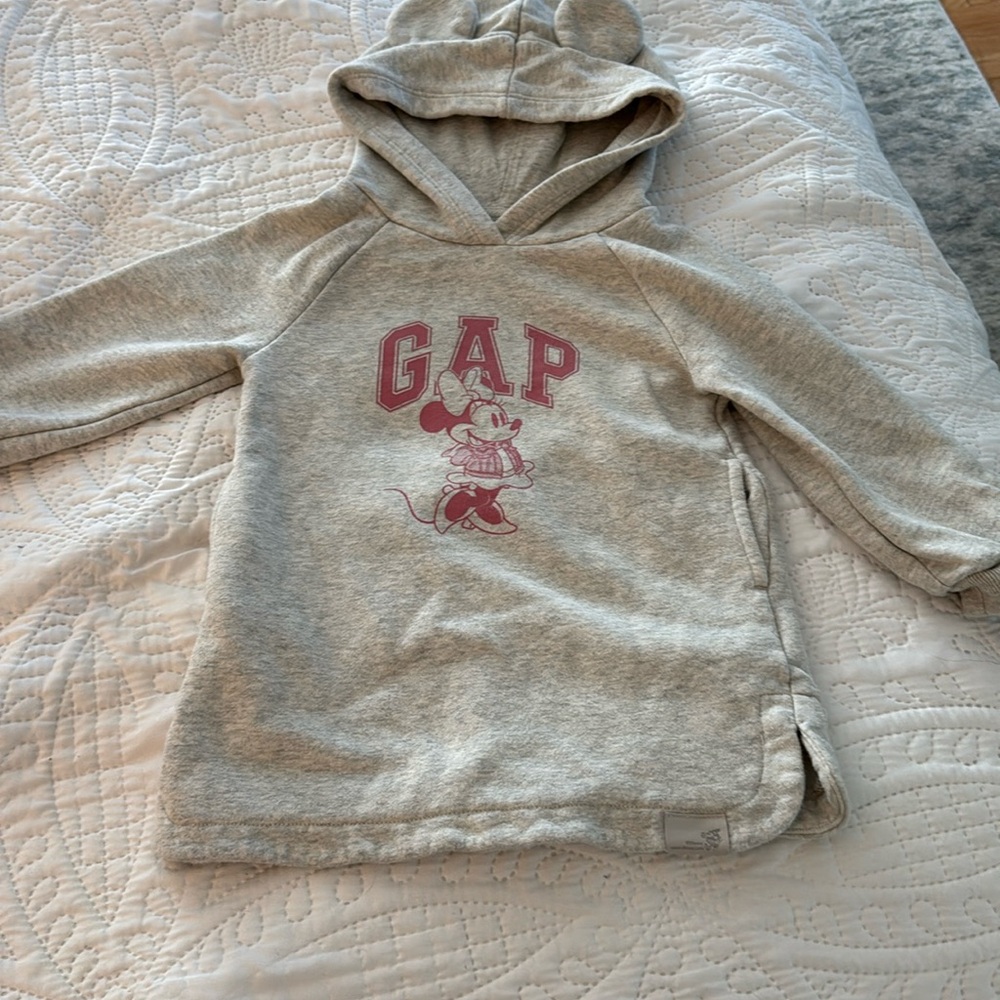 Minnie Mouse Hooded sweatshirt Dress (size 2T)